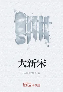 《大新宋》小说封面