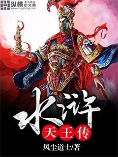 《水浒天王传》小说封面