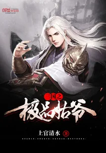 《三国之极品姑爷》小说封面