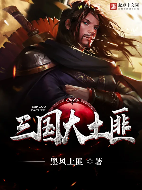 《三国大土匪》小说封面
