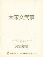 《大宋文武事》小说封面