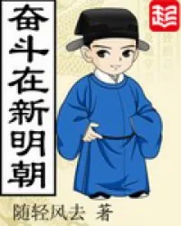 《奋斗在新明朝》小说封面