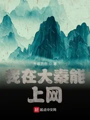 《我在大秦能上网》小说封面