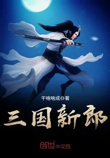 《三国新郎》小说封面