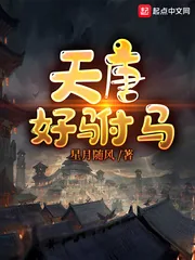 《天唐好驸马》小说封面