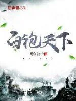 《白袍天下》小说封面