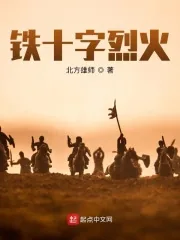 《铁十字烈火》小说封面