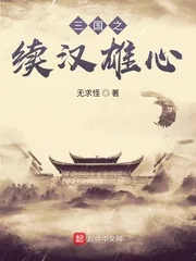 《三国之续汉雄心》小说封面