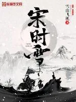 《宋时雪》小说封面