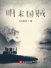 《明末国贼》小说封面