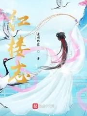 《红楼志》小说封面