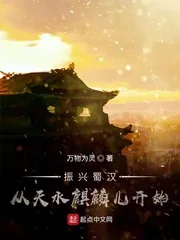 《振兴蜀汉:从天水麒麟儿开始》小说封面
