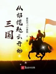 《三国从招揽赵云开始》小说封面