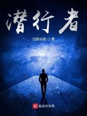 《潜行者》小说封面