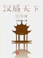《汉威天下之刘襄》小说封面