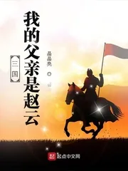 《三国：我的父亲是赵云》小说封面