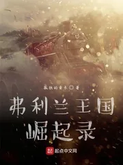《弗利兰王国崛起录》小说封面