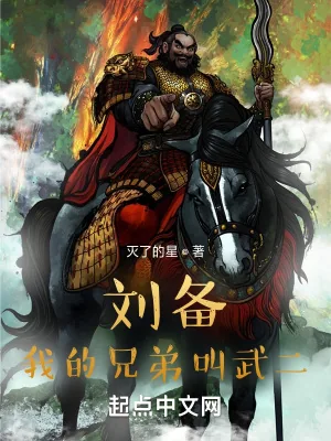 《刘备：我的兄弟叫武二》小说封面