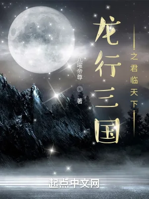 《龙行三国之君临天下》小说封面