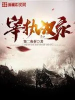 《宰执汉家》小说封面