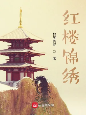 《红楼锦绣》小说封面