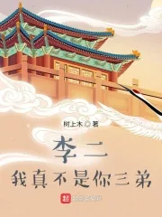 《家兄李世民》小说封面