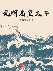 《乱明者皇太子》小说封面