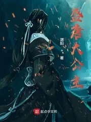 《盛唐大公主》小说封面