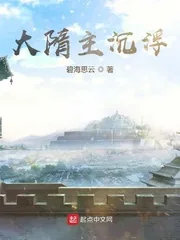 《大隋主沉浮》小说封面