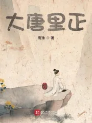 《大唐里正》小说封面