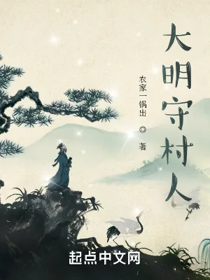 《大明守村人》小说封面