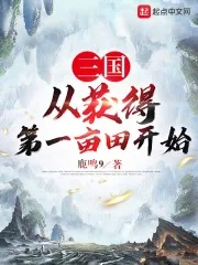《三国从获得第一亩田开始》小说封面