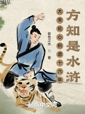 《大宋处心积虑十六年，方知是水浒》小说封面