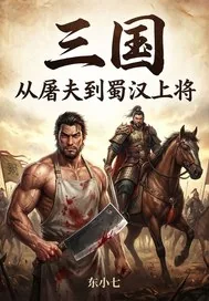 《三国:从屠夫到蜀汉上将》小说封面