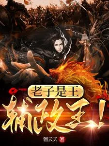 《老子是王,辅政王!》小说封面