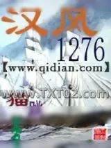 《汉风1276》小说封面
