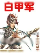 《白甲军》小说封面