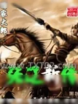 《张辽新传》小说封面