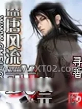 《盛唐风流武状元》小说封面