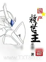 《国产的奇妙大冒险》小说封面