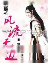 《明宦之风流无边》小说封面