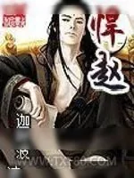 《悍赵》小说封面