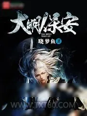 《大明保安》小说封面