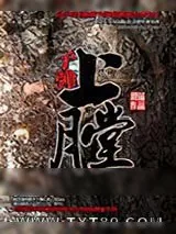 《子弹上膛》小说封面