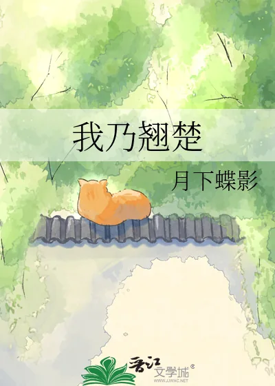 《我乃翘楚》小说封面
