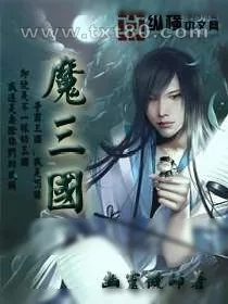 《魔三国》小说封面