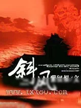 《斜风》小说封面