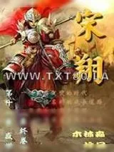 《宋翔》小说封面