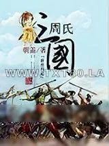 《周氏三国》小说封面