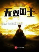 《北宋之无双国士》小说封面
